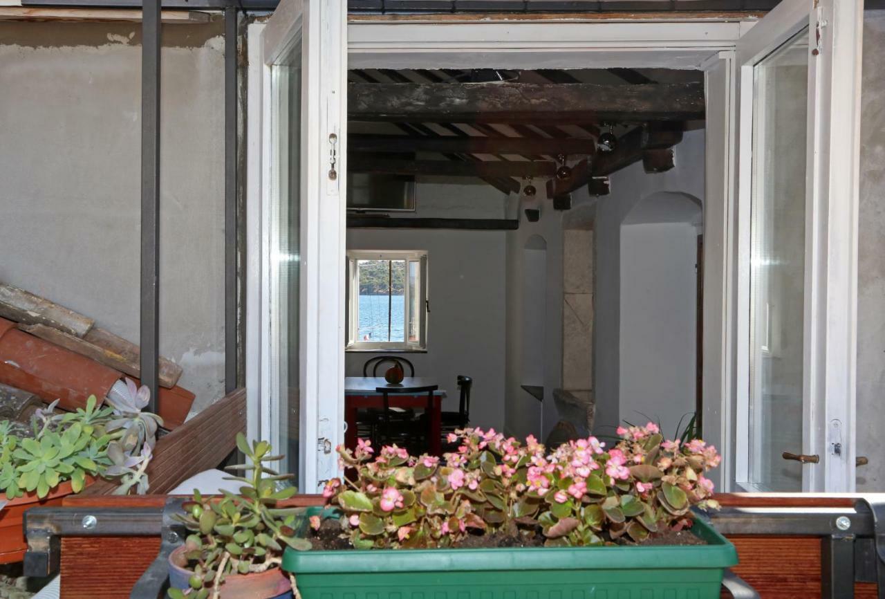 Swan Adriatic Apartment & Room Sibenik Exterior photo